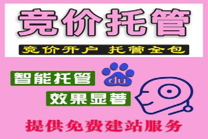 百度广告投放策略与效果评估案例