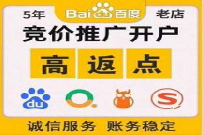 百度竞价排名实战：某电商平台的成功之路